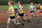 Senior womens 2018 British Inter Counties Cross Country Champs., Prestwold Hall, Loughborough. Photo: David T. Hewitson/Sports for All Pics